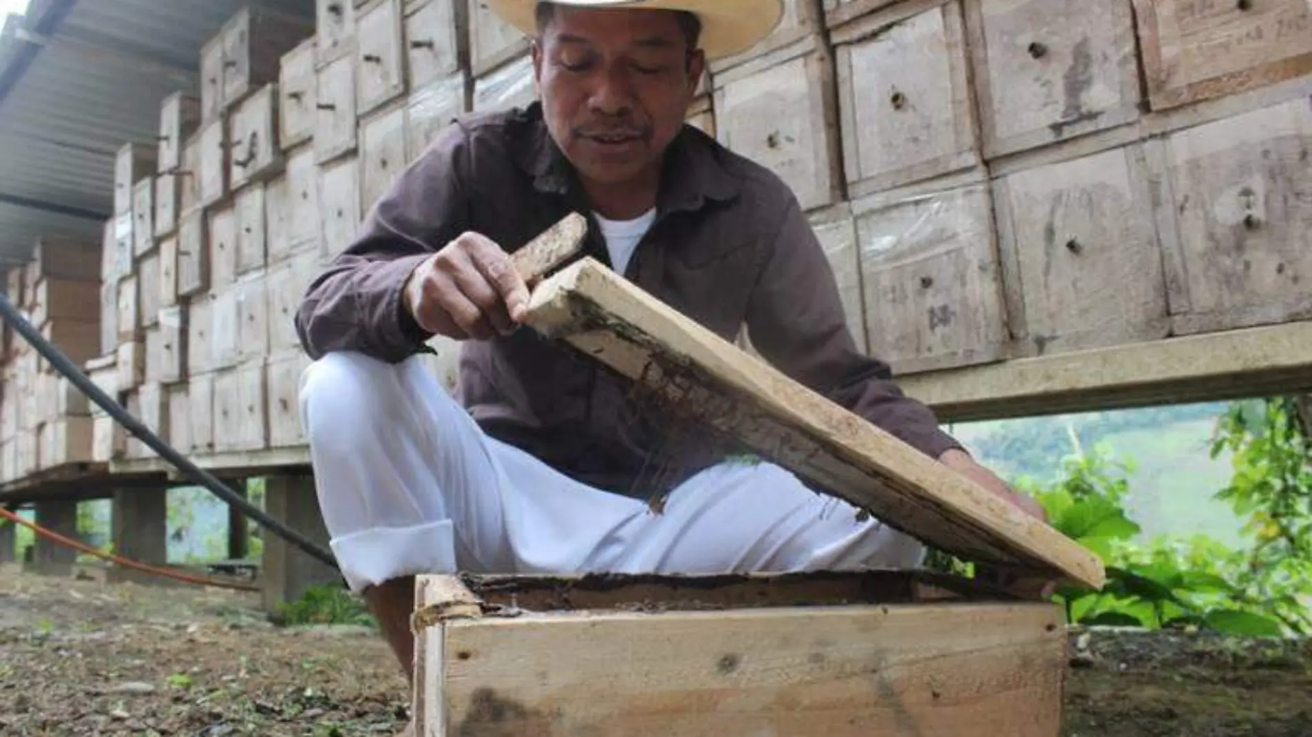 ¿Qué pasa si consumes una cucharadita de miel todos los días-